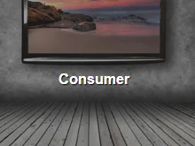CONSUMER