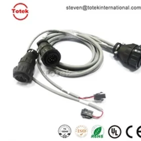 TE AMP CPC 206306 connector (Circular Plastic Connectors) to molex 43020 Micro-Fit custom cable assembly